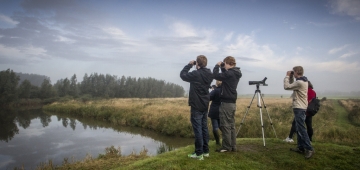 オランダ、フリースランド州のレーワルデルボス（地名）で野鳥観察をするバードウォッチャー。’欧州バードウォッチ’は科学者も一般のバーダーも参加するイベントです。 写真提供：　Wietze Landman