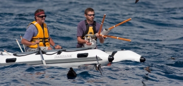 フィジーミズナギドリとソロモンミズナギドリを守るための鍵になると思われるニュージーランドコアシナガウミツバメを海上で捕獲しているNeil Fitzgerald と Chris Gaskin。 写真提供：　Martin Berg